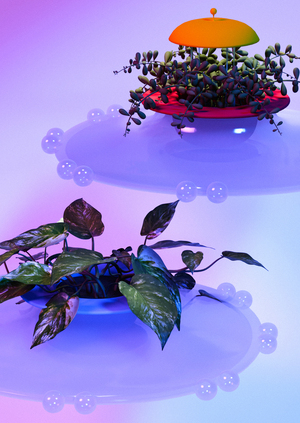 [UFO planter] фитосветильник