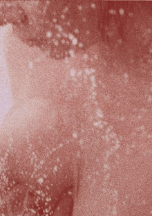 Заключение