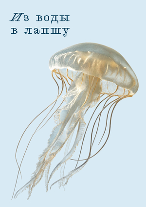 Из воды в лапшу