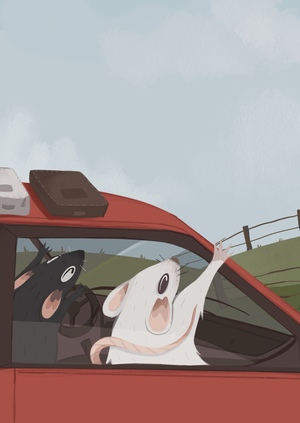 Крыски на ферме