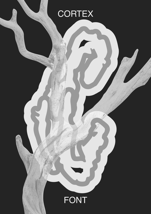 Cortex