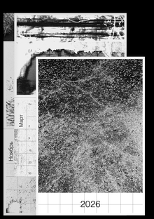 Текстуры сезонов