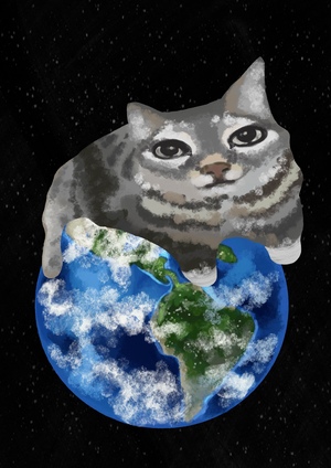 Коты - повелители вселенной