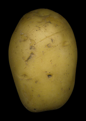 Я БЕРУ С СОБОЙ В ПОХОД