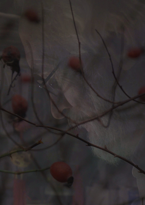 Гипнагогия