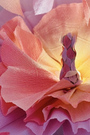 Цветок правды