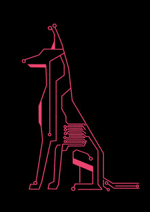 Цифровой мир в&nbsp;объективе собаки