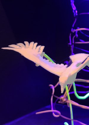 Освобождение