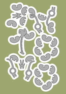 энтомо&nbsp;— выставка останков вымерших насекомых