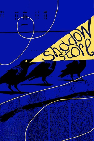 Shadow store