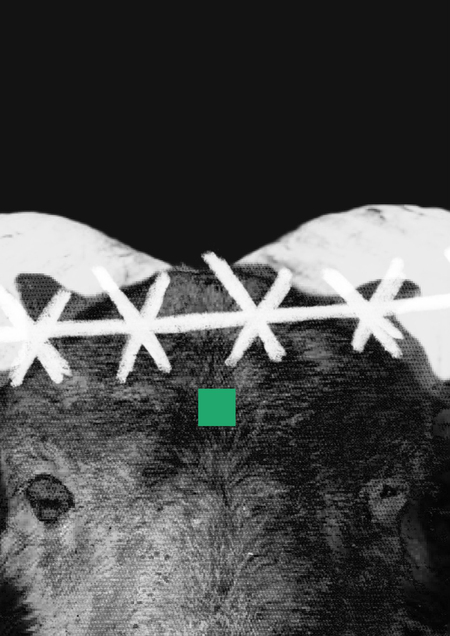 Плакаты для общества поклонения баранам BAA!