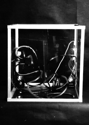 связь. аудиовизуальная инсталляция.