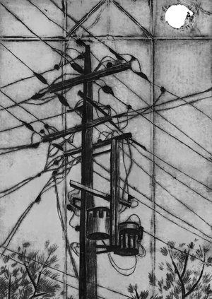 "Чёрная паутина города". Серия гравюр.