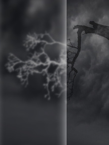 За&nbsp;гневом