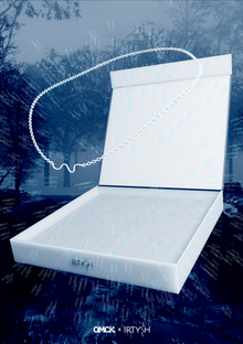 Irtysh&nbsp;— мерч выставки О.М.С.К.