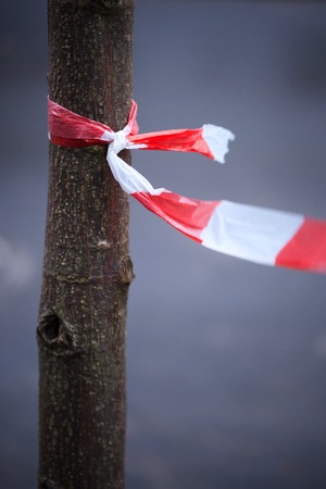 Современная фотография. Режиссура кадра