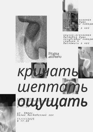 плакаты для lingua amissio*