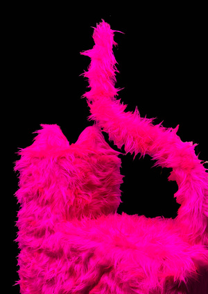 ФАКТ ПРИСУТСТВИЯ