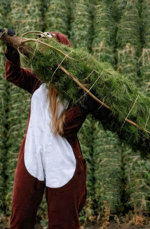 "Зимарт" / плакаты