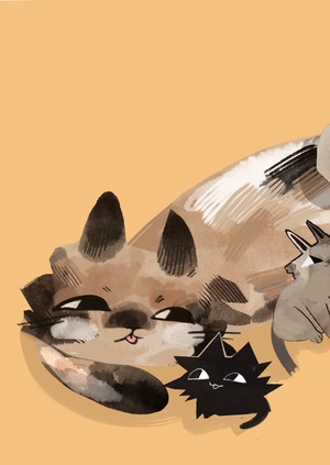 Котята-потеряшки