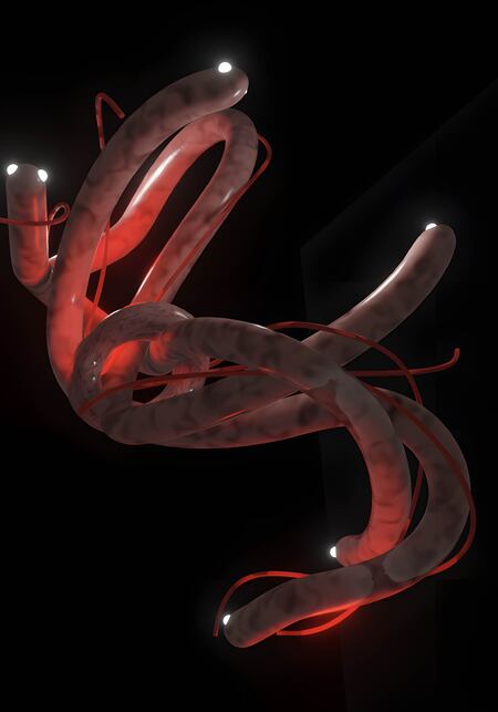 Плакаты студии шибари для червей «Червязно»