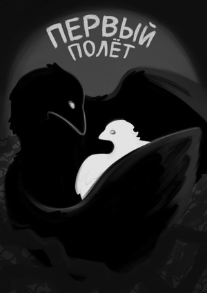 Первый полет