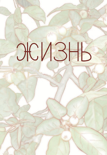 Жизнь