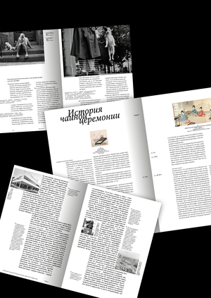 Остранение системы