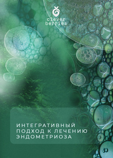 Компания «CleverBerries» Компания «CleverBerries»
