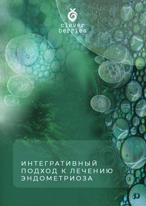 Компания «CleverBerries»