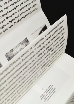 Нью-Йорк вне себя. Рем Колхас. Зин-тизер