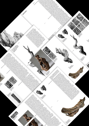 Культура дерева, дерево в культуре