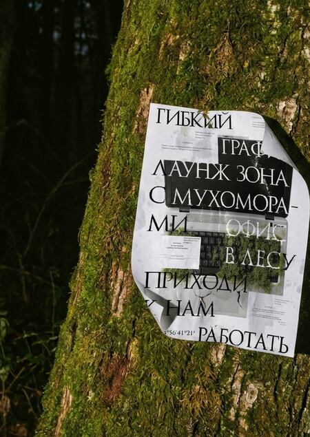 Биом Камбия. Офис в лесу