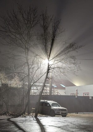 Метаморфоза