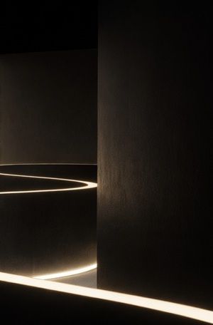 Линия как прогулка точки