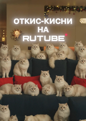Анализ рекламной кампании Rutube