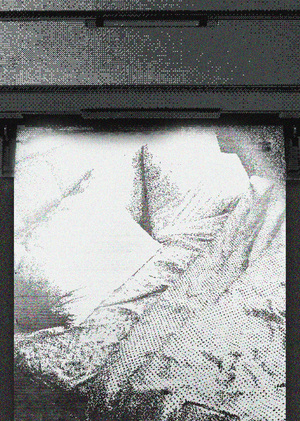 Документируя угасание