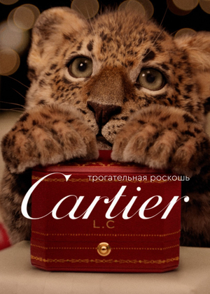 Рекламная кампания Cartier Magical Night 2026