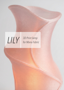 LILY 3D Print Lamp