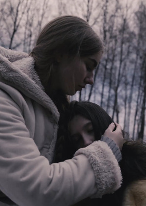 В тени берёз