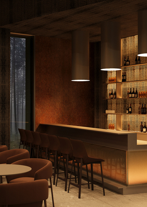 Дизайн-проект отеля Boru AVE Hotel в Светлограде