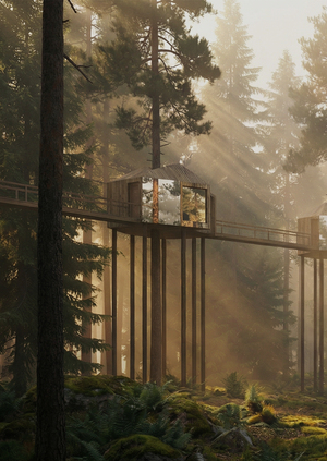 Бутик - отель в гуще леса