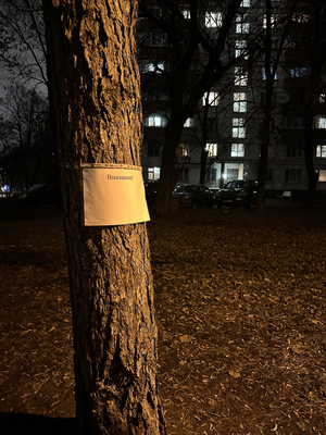 Внимание! Уважаемые студенты! Осторожно!