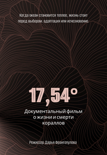 Документальный фильм 17,54°