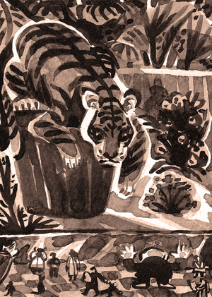 Тигр в клетке