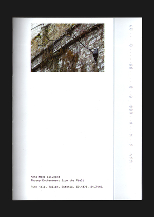 Thorny Enchantment from the Field