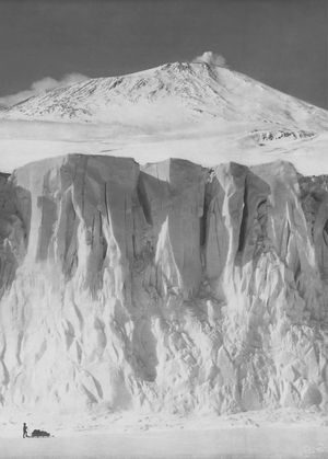 На бескрайнем белом юге