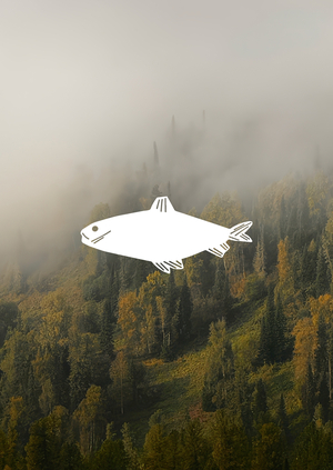 ЧИР. Глэмпинг в Сибири