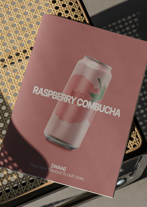 упаковка wan