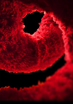 НАПРЯЖЕНИЕ